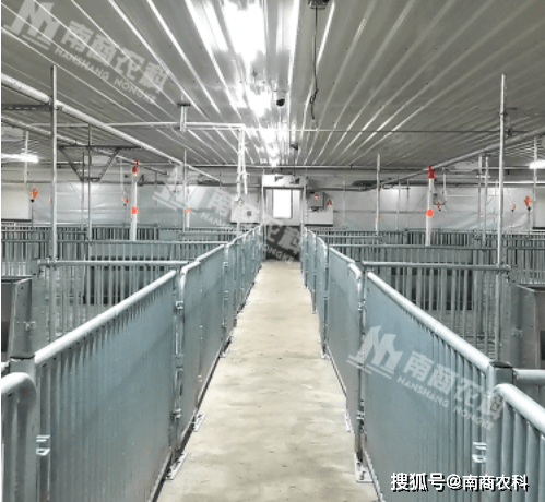 养猪场设备攻略收藏起来慢慢看ag凯发(图3)