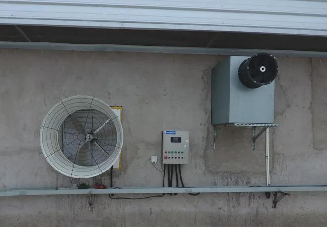 智慧猪场到底能节省多少人工成本？(图2)