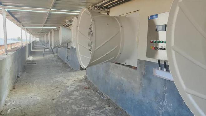 智慧猪场到底能节省多少人工成本？