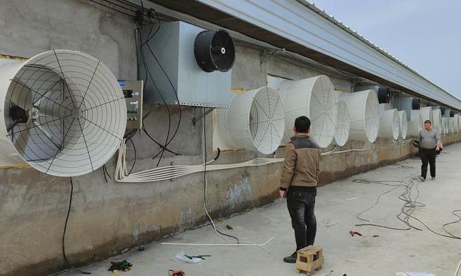 智慧猪场到底能节省多少人工成本？(图3)