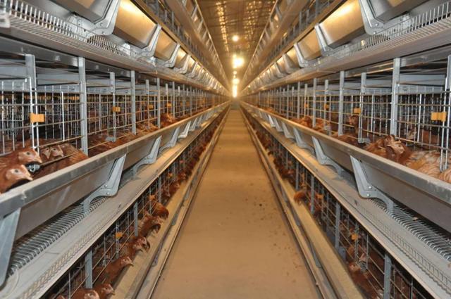 凯发旗舰厅郑州机床展：河南畜牧机械发出请求急需激光钣金厂商入局解惑！(图3)