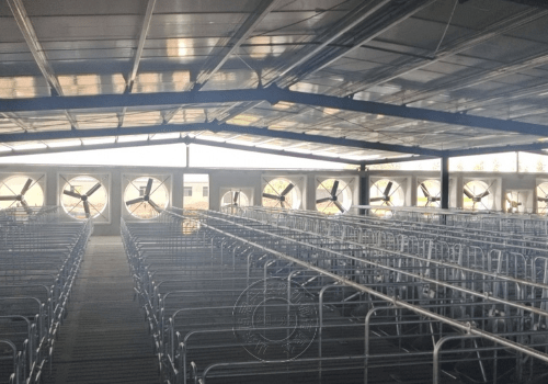 现代化猪场养猪设备分类及作用