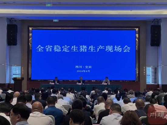 凯发旗舰厅新形势下今年川猪如何稳生产？