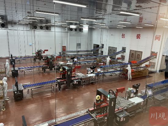 凯发旗舰厅新形势下今年川猪如何稳生产？(图2)