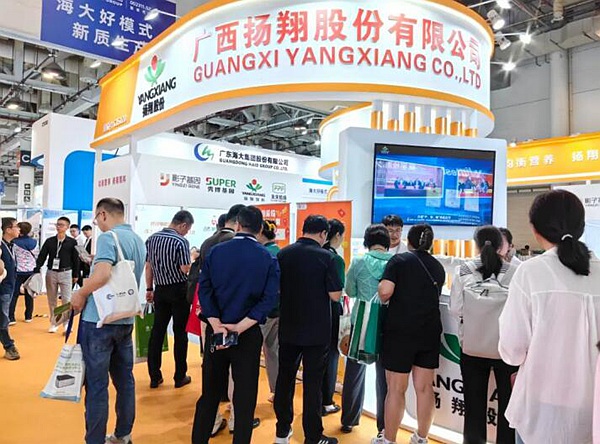 扬翔以凯发国际“产品+技术+服务”领跑行业