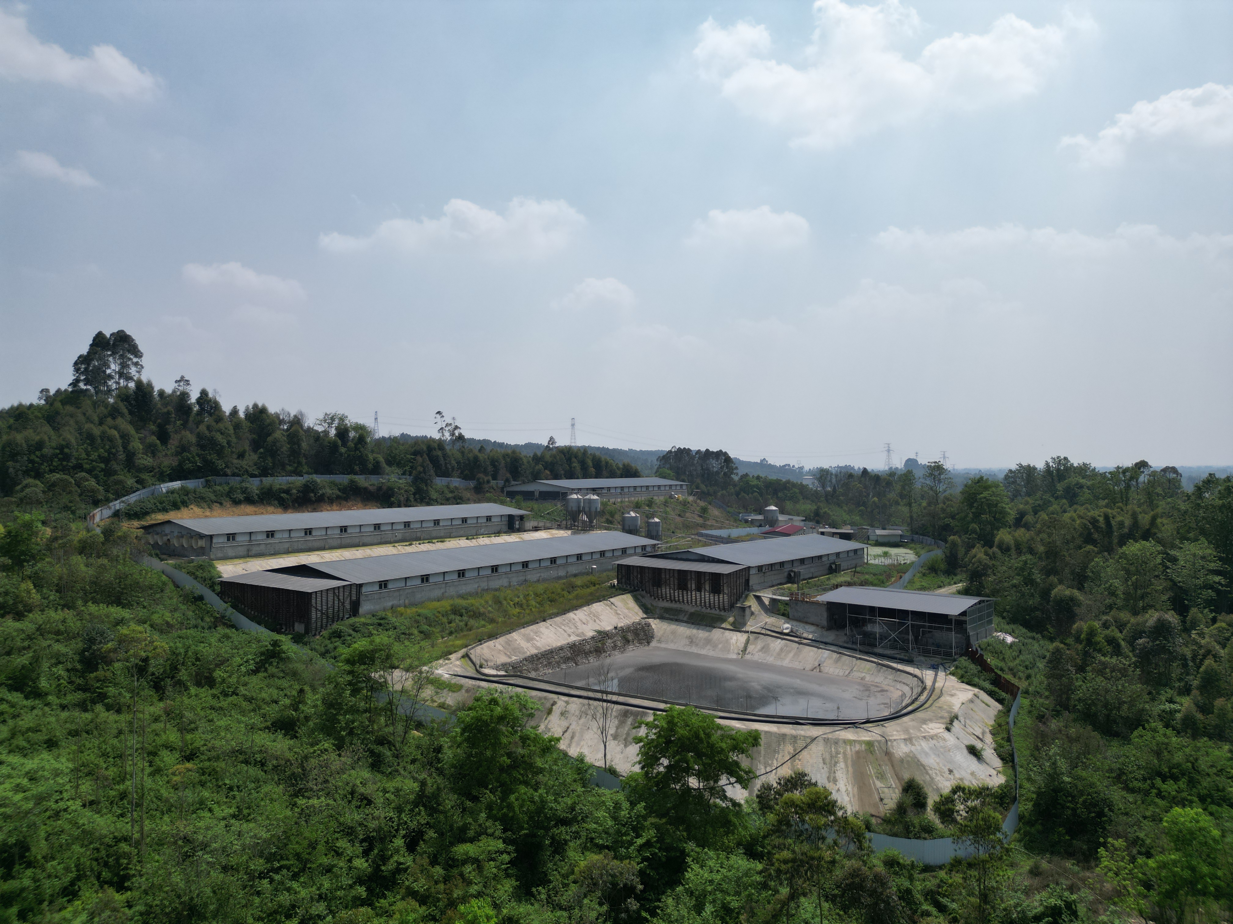 彭州养猪场化粪池气体中毒事故疑为一人中毒六人施救全遇难ag凯发(图2)