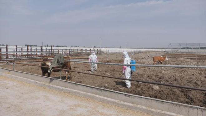 打好动物防疫针筑牢畜牧防疫“防护网”(图1)