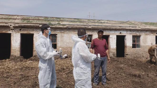 打好动物防疫针筑牢畜牧防疫“防护网”(图2)