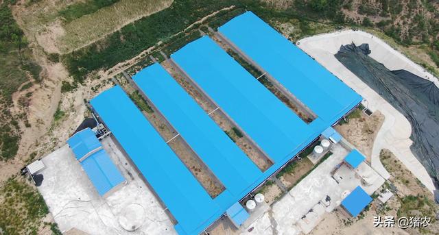 2021年了你还在凭“经验”养猪？凯发国际