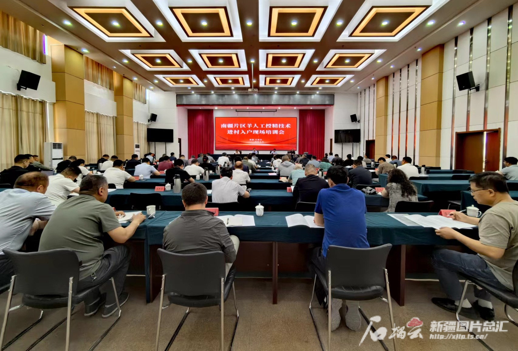 新疆全力打造“畜牧业高标准农田”