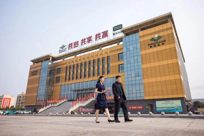 对话扬翔董事长莫金枝：名校毕业去养猪其实是一种勇气与长期价值主义的选择(图2)