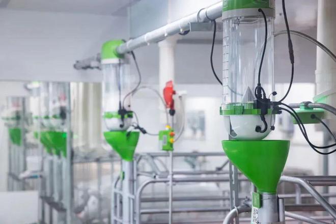 对话扬翔董事长莫金枝：名校毕业去养猪其实是一种勇气与长期价值主义的选择(图6)