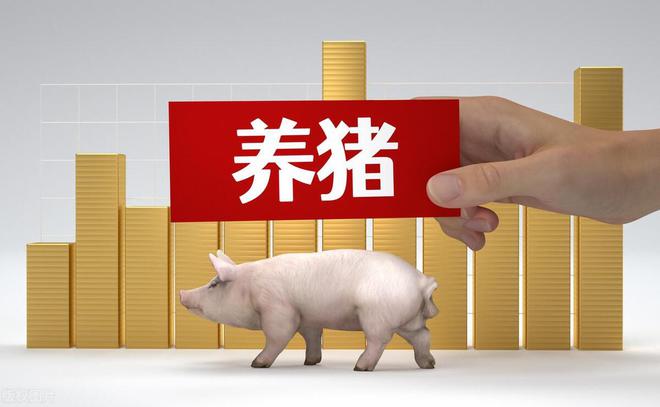 ag凯发各大养猪集团都在赔钱为啥还有那么多人养猪？我为啥要养？(图6)