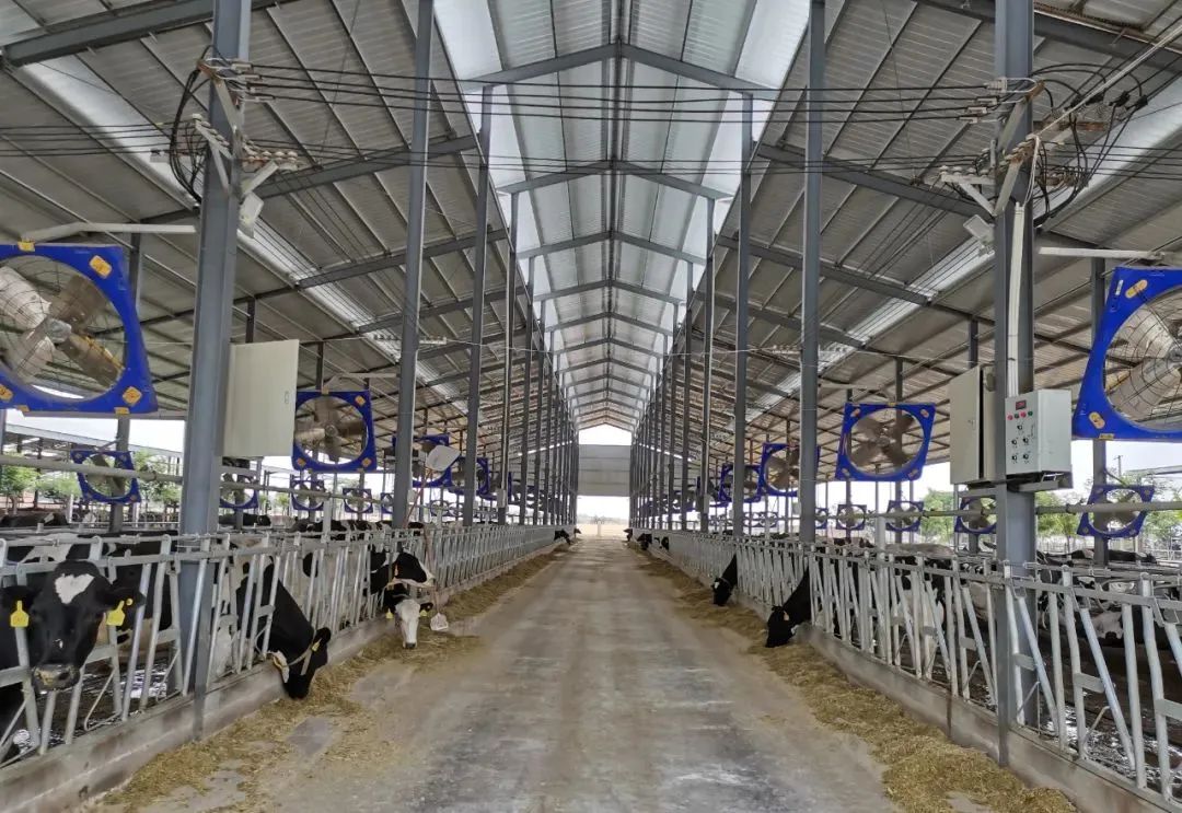 西安市临潼区畜牧兽医工作获陕西省先进