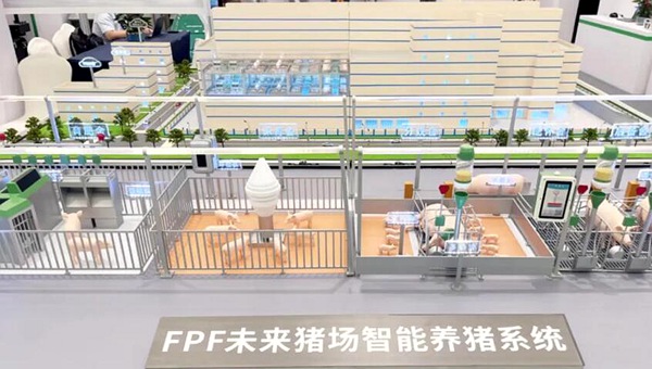 莫金枝：数学系跨界养猪是一种勇气与长期主义的选择(图2)