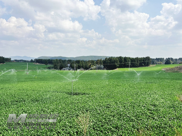 【盐亭】引进新技术推广新设备发展新业态从“新”出发传统农业活力满