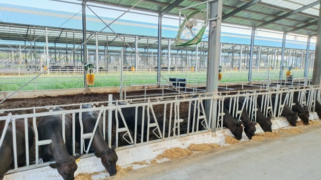 “中国铝都”滨州：向“新”而变向“绿”而行(图3)