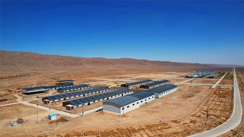 凯发旗舰厅肃南：建设标准化养殖小区推进草原畜牧业转型发展