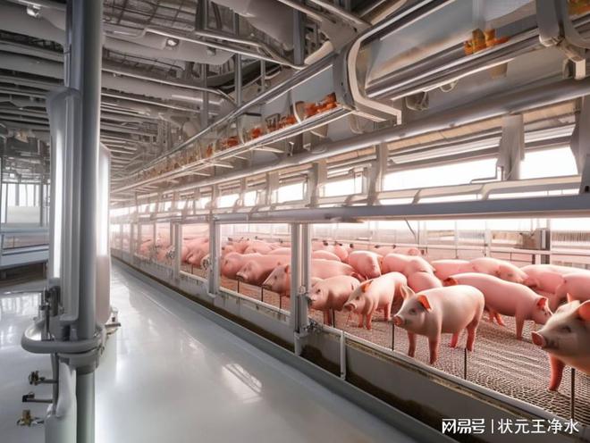 状元王客户猪场养殖用纯净水设备客户案例
