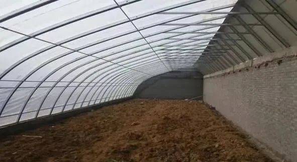 定了山东放大招推进畜牧业机械化！山东畜牧会特设机械展区及多个论坛！(图5)