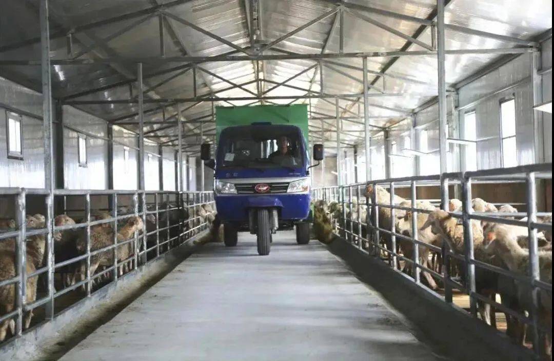 定了山东放大招推进畜牧业机械化！山东畜牧会特设机械展区及多个论坛！(图2)