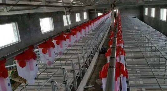 定了山东放大招推进畜牧业机械化！山东畜牧会特设机械展区及多个论坛！(图4)