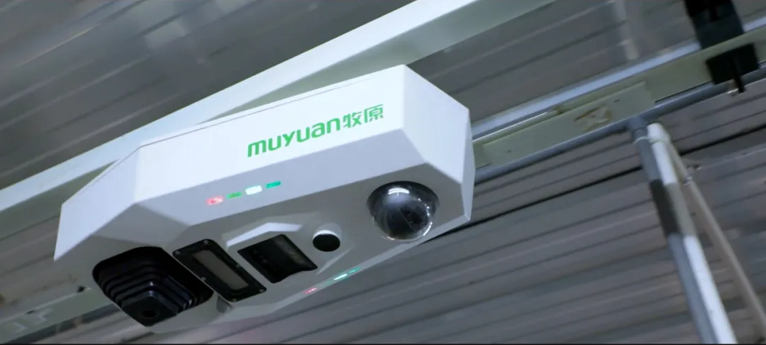 赋能乡村振兴上市公司在行动丨牧原股份：做好“养好每一头猪”的事业助力农民过上更好的ag凯发生活(图3)