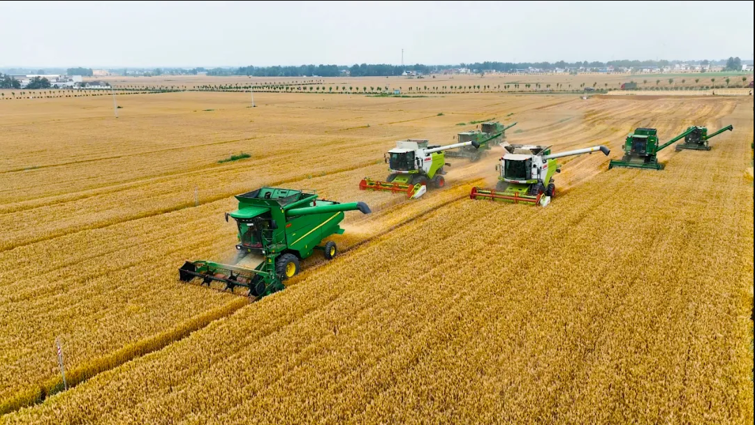 赋能乡村振兴上市公司在行动丨牧原股份：做好“养好每一头猪”的事业助力农民过上更好的ag凯发生活(图4)