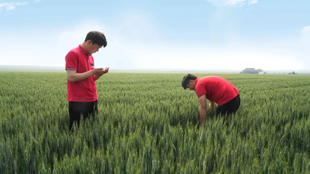 赋能乡村振兴上市公司在行动丨牧原股份：做好“养好每一头猪”的事业助力农民过上更好的ag凯发生活(图5)