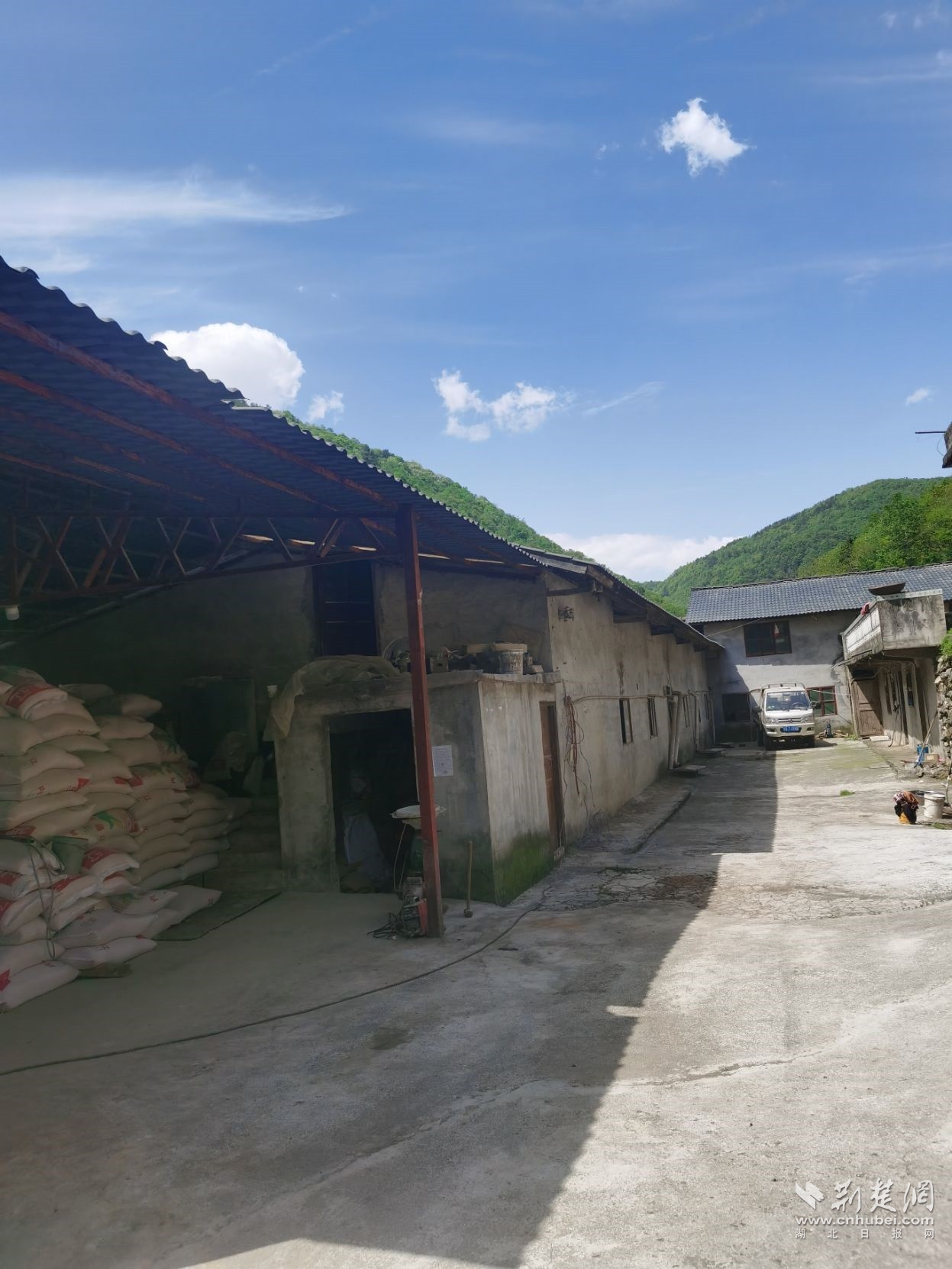 负债近亿元后男子“精心策划”一起投资养猪诈骗