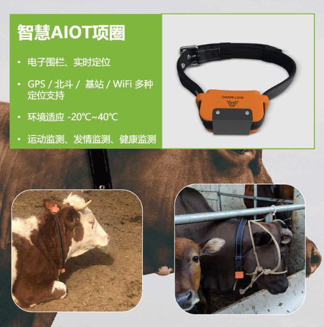 用牛来贷款？活畜抵押贷款软硬件解决方案助力智慧畜牧发展