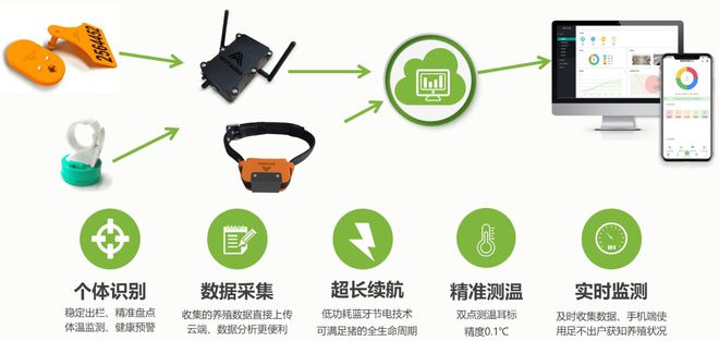 用牛来贷款？活畜抵押贷款软硬件解决方案助力智慧畜牧发展(图3)