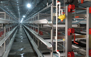 TangshanRunhuiAnimalHusbdryMachineryCoLTD(图3)