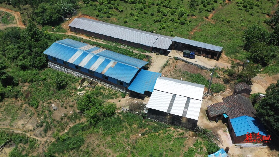 全国助残日｜黄文平：残缺身体撑起养殖一片天