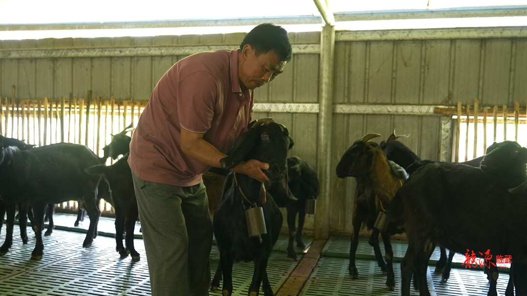 全国助残日｜黄文平：残缺身体撑起养殖一片天(图3)