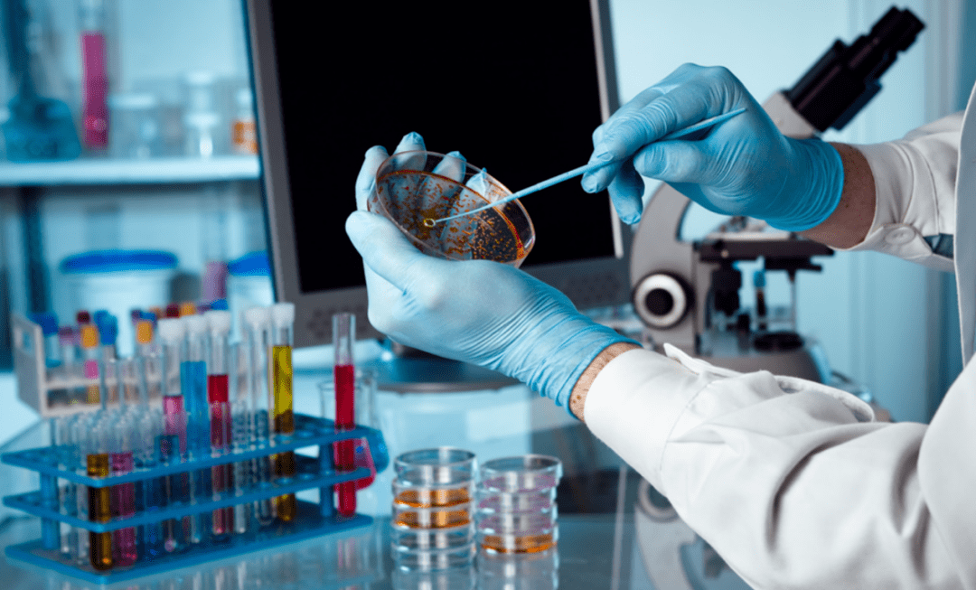 【坐标中国】智能化养猪未来可期——《中国生猪产业智能化装备与数字化管理系统(图4)