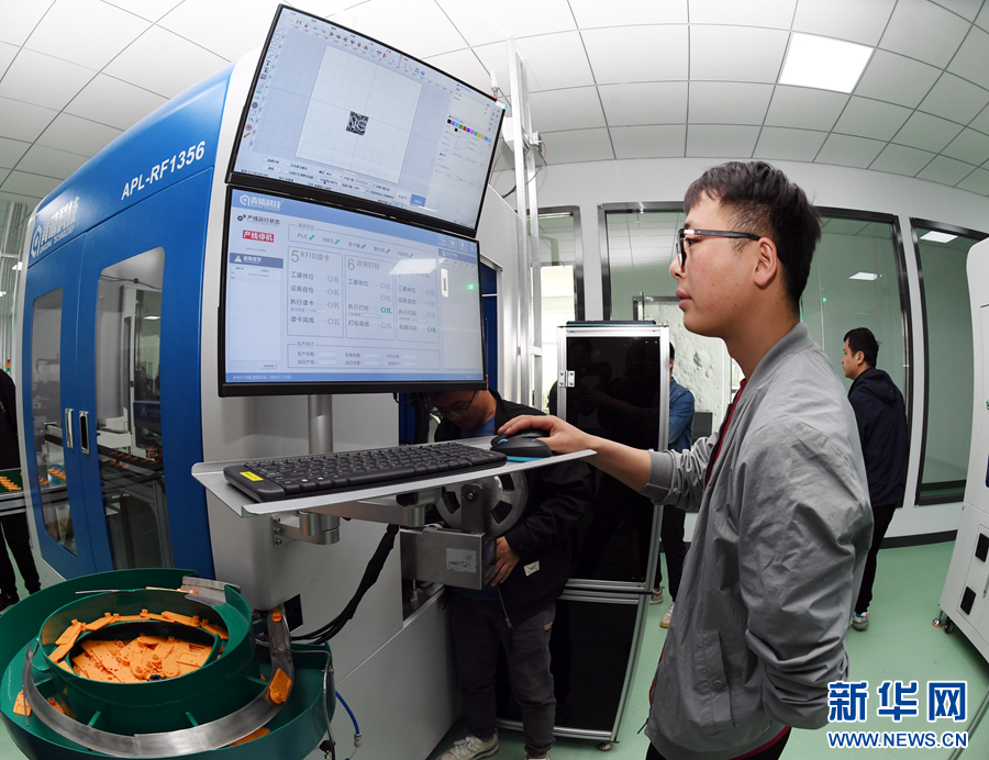 青海藏羊实现“户籍化”管理(图2)