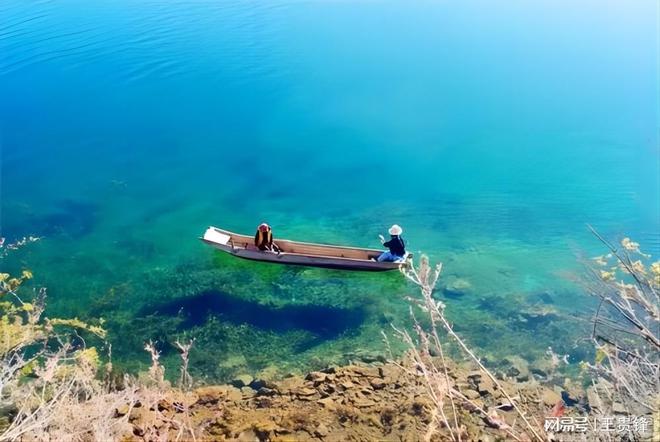 2024-禹城市畜牧业发展中心实验室设备采购竞争性磋商公告凯发旗舰厅(图2)