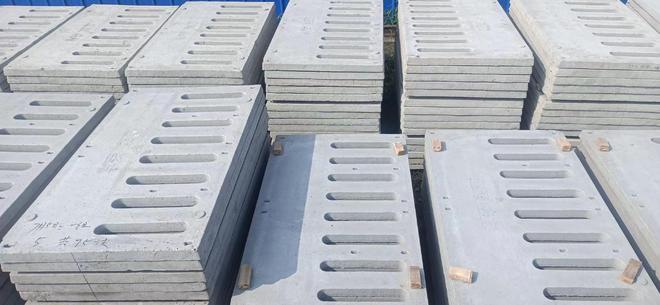 自动化养殖设备的领军企业带动地区畜牧业的繁荣