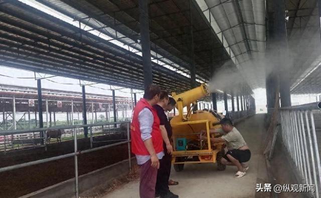 河南内乡：科技特派员为畜牧产业发展赋能增智凯发旗舰厅