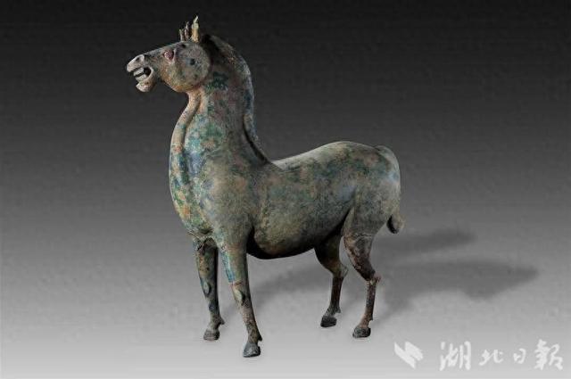 在博ag凯发物馆里“逛动物园”