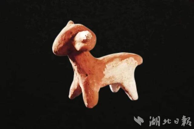 在博ag凯发物馆里“逛动物园”(图3)