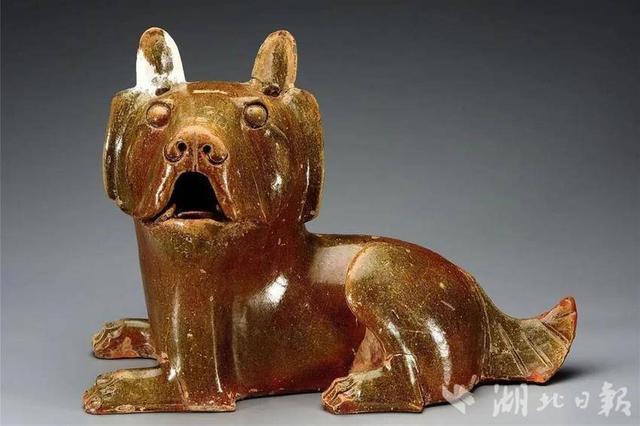 在博ag凯发物馆里“逛动物园”(图2)