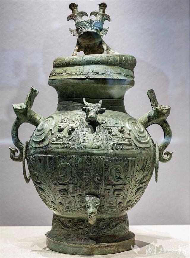 在博ag凯发物馆里“逛动物园”(图8)