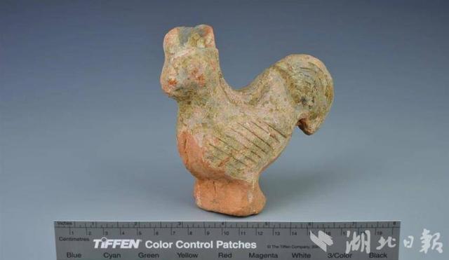 在博ag凯发物馆里“逛动物园”(图7)