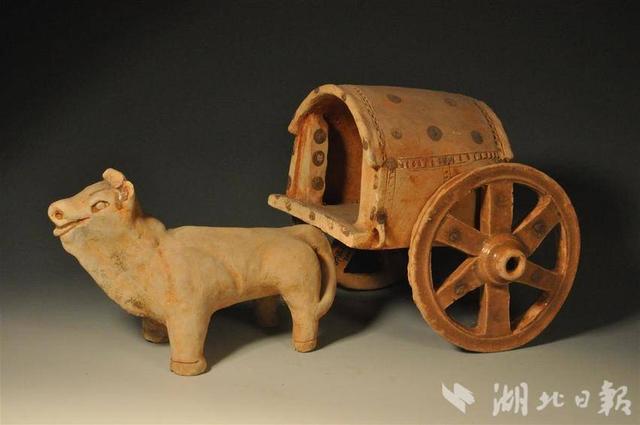 在博ag凯发物馆里“逛动物园”(图6)