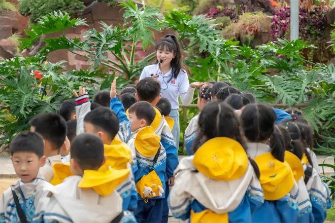 卢静：“农二代”让特色蔬菜产业更具“科技范凯发国际”(图3)