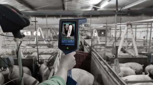 凯发国际14元养猪成本的背后！新希望智能设备助推养猪新质生产力发展(图3)