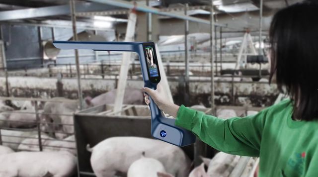 凯发国际14元养猪成本的背后！新希望智能设备助推养猪新质生产力发展(图2)