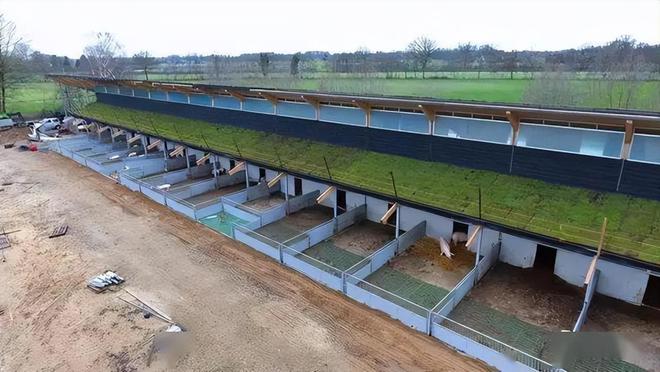 今年养猪有的赚小白适合进场吗？(图1)